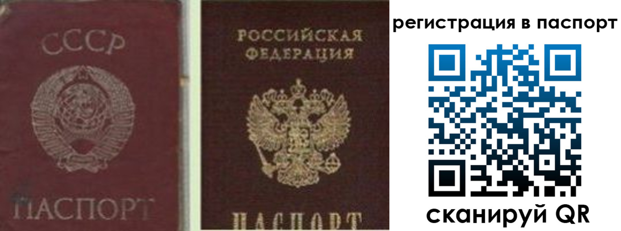прописка для работы в Советске